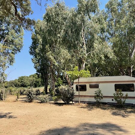 הוילה פורטו-וישיו Camping La Baie Des Voiles מראה חיצוני תמונה